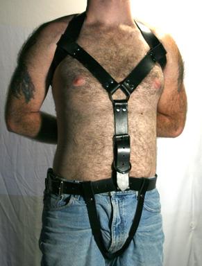 Posture Restraint System