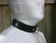 Leather lead collar